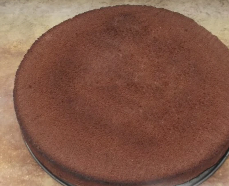 Chocolate Biscuit (Best Recipe)