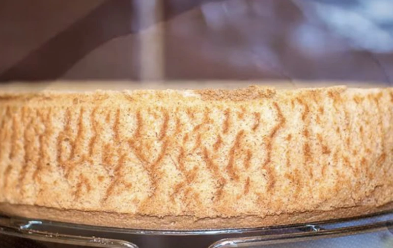 Chiffon Biscuit