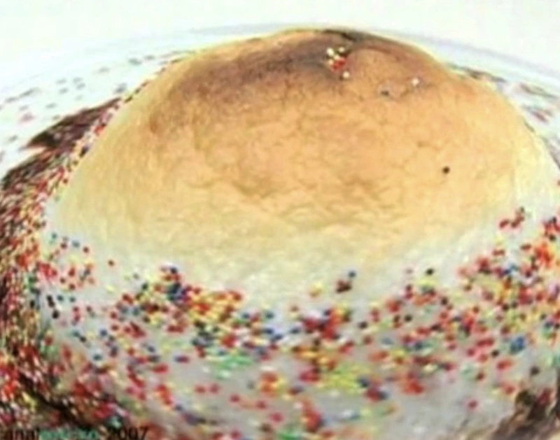 Meringue Omelet