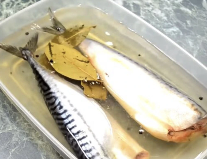 Lightly Salted Mackerel step 3