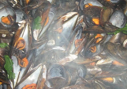 Pasta Linguine with Mussels step 2