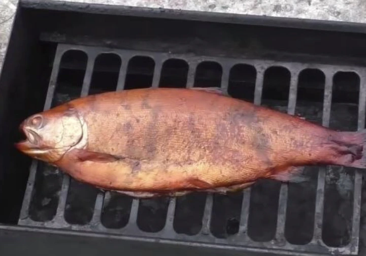 Smoked Trout step 11