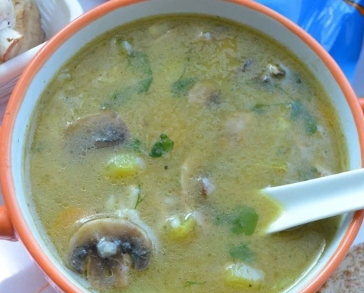 Chicken Soup with Zucchini and Mushrooms