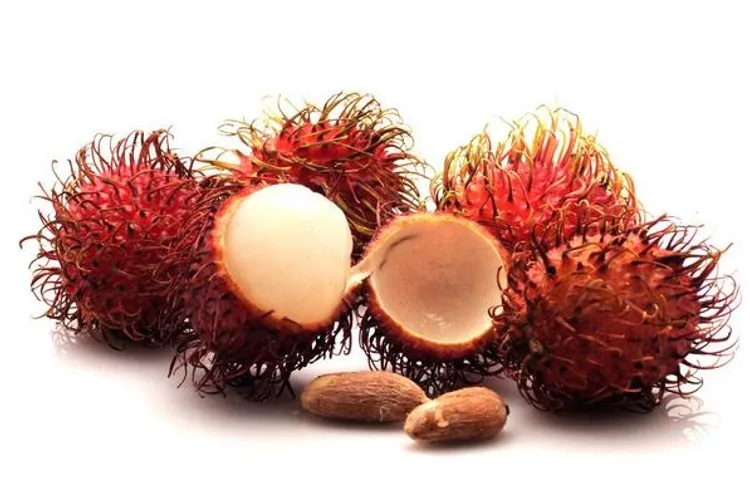 Facts About Rambutan