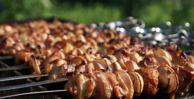 Chicken Kebab in Grapefruit