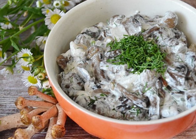 Fried Honey Mushrooms in Sour Cream Sauce