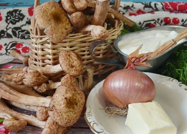 Fried Honey Mushrooms in Sour Cream Sauce step 1