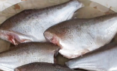 Fried River Fish step 1