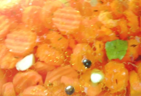 Pickled Carrots (Instant)