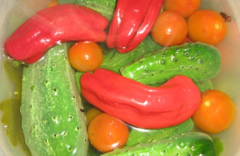 Lightly Salted Vegetables