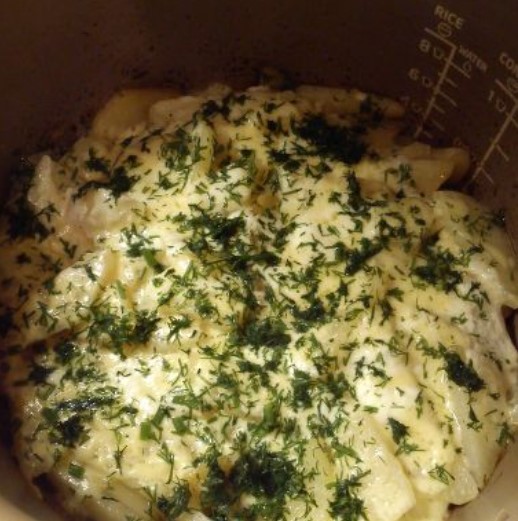 French Meat in a Slow Cooker