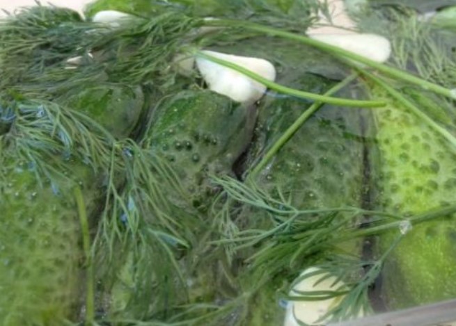 Lightly Salted Cucumbers on Mineral Water