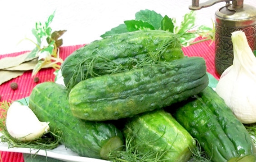 Lightly Salted Cucumbers in a Package