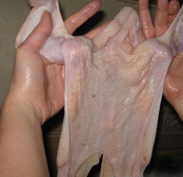 Stuffed Neck step 2