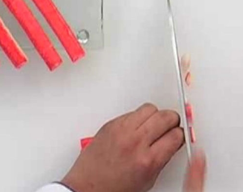 Stuffed Squid step 1