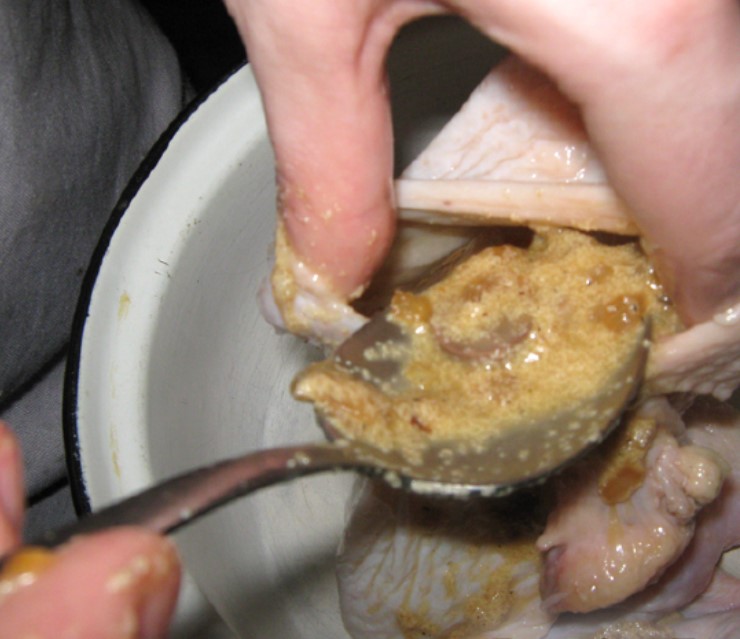 Stuffed Neck step 6