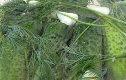 Salted Cucumbers on Mineral Water