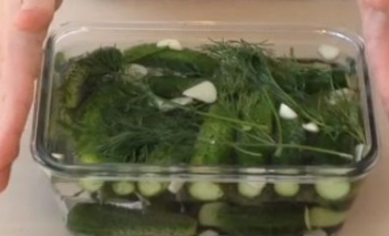 Salted Cucumbers on Mineral Water step 6