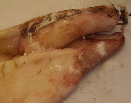 Squid Stewed in Sour Cream step 1