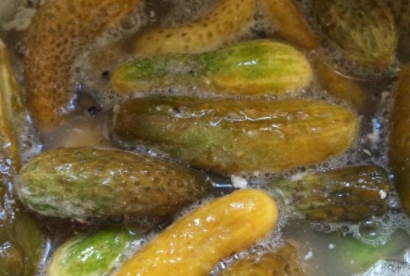 Grandma’s Pickled Cucumbers step 5