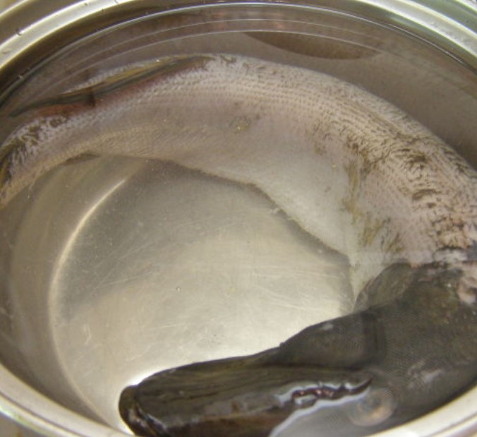 Pike Ukha step 3
