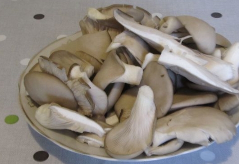 Fried Mushroom Snack step 1