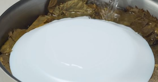 Dolma step 9