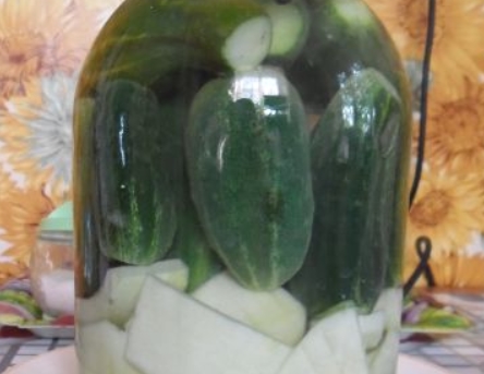 Daily Lightly Salted Cucumbers and Zucchini