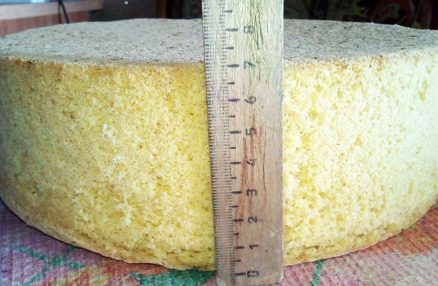 Sponge Cake on Yolks