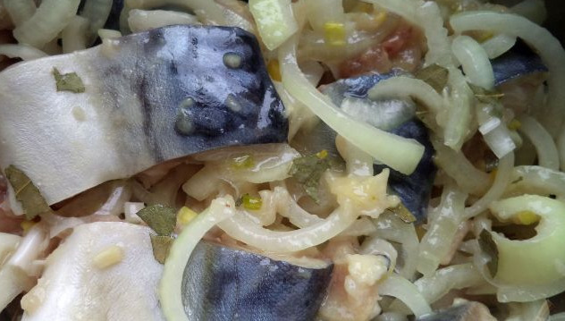 Frozen Fish Ambassador