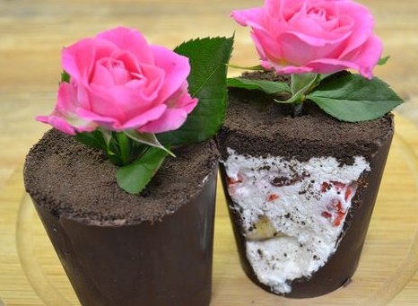 Dessert “Flower in a Pot” of Chocolate Chip Cookies and Cheese Cream