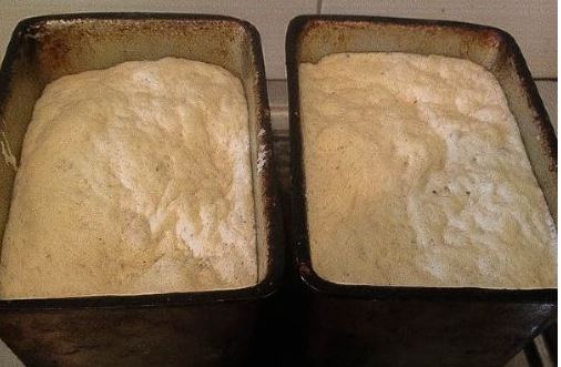 Homemade Bread with Dry Yeast step 5