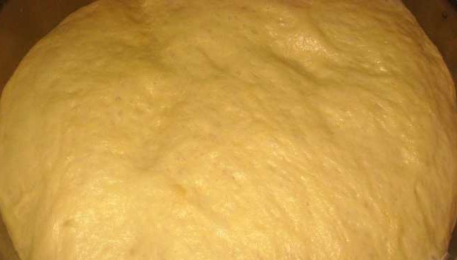 Pie Dough (Yeast)