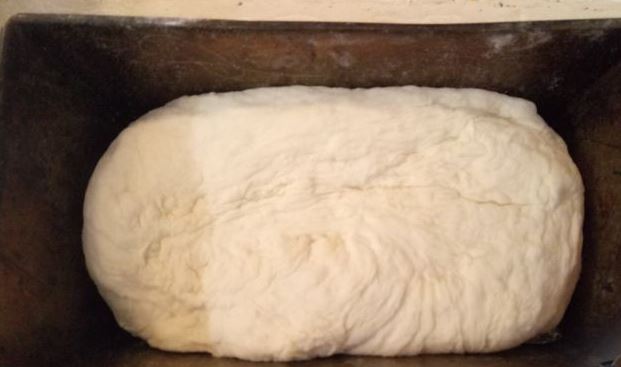 Wheat Yeast Bread (Very Simple) step 3