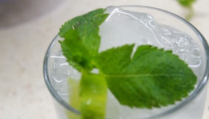 Summer Cocktail “Mojito” Non-Alcoholic