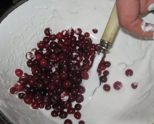 Cranberries in the Snow step 3