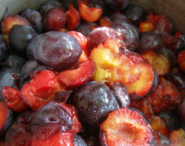 Plum Pastila