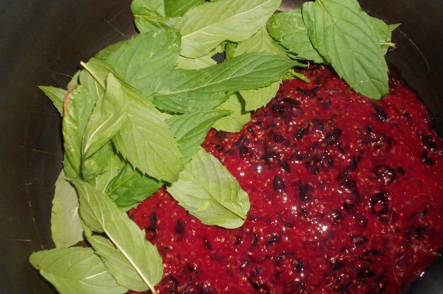 Blackcurrant and Mint Lemonade step 3