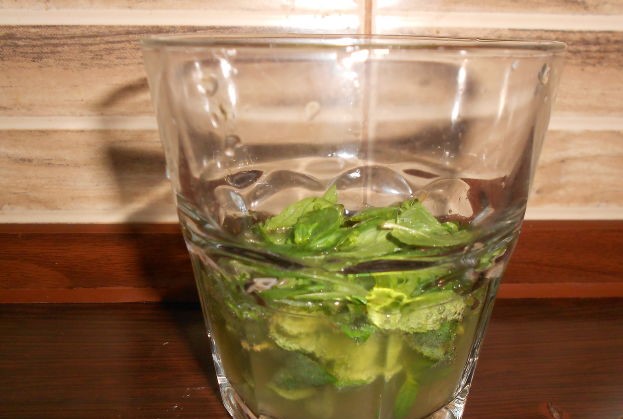 Mojito step 4