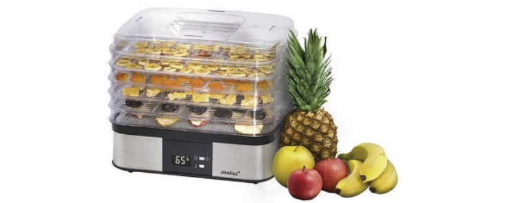 10 Best Vegetable and Fruit Dryers for Home