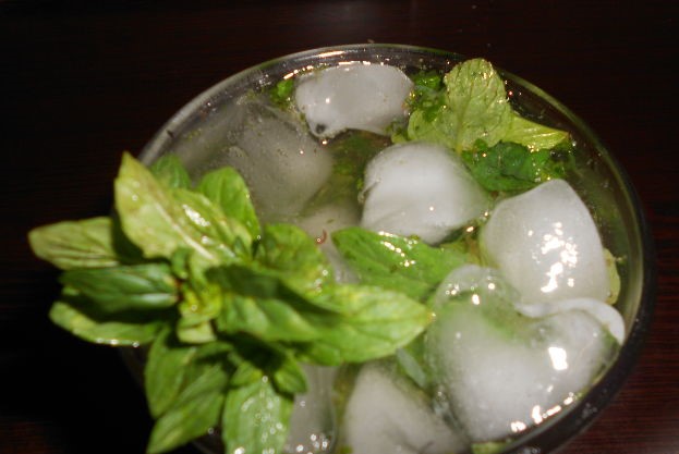 Mojito step 8