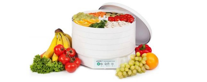 Ezidri Snackmaker FD500