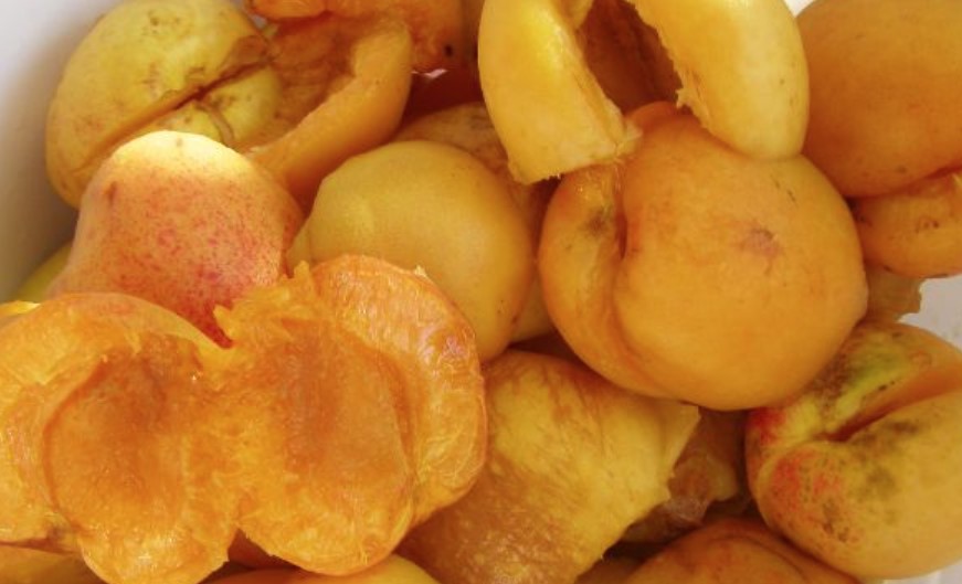 Apricot Marshmallow step 1