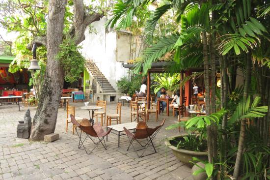 Cafes and coffee shops  
