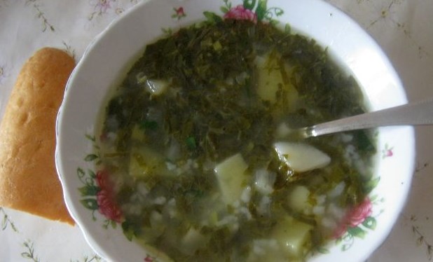 Green Borscht with Chicken
