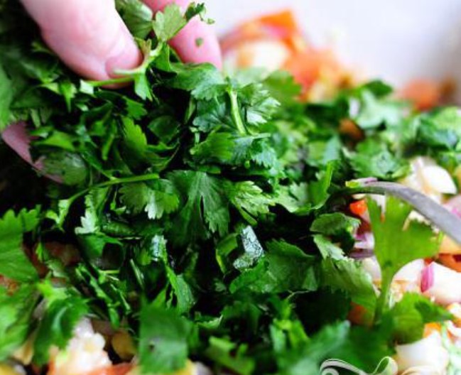 Pico de Gallo Shrimp step 17