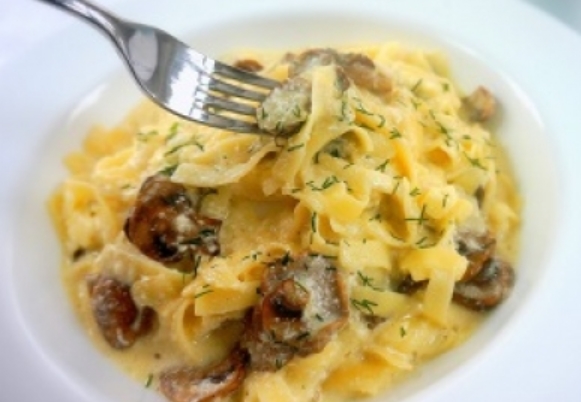 Alfredo Mushroom Sauce