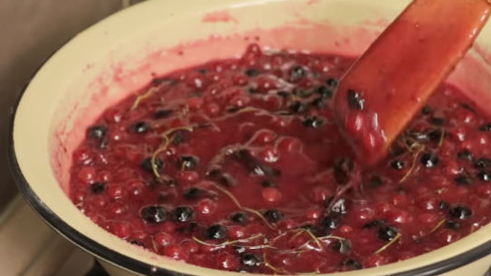 Jam-Jelly “Three Minutes” from Black and Red Currants step 3