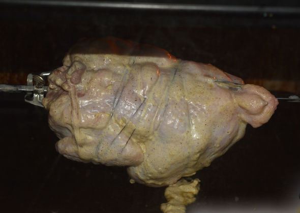 Grilled Chicken (in the Oven) step 8