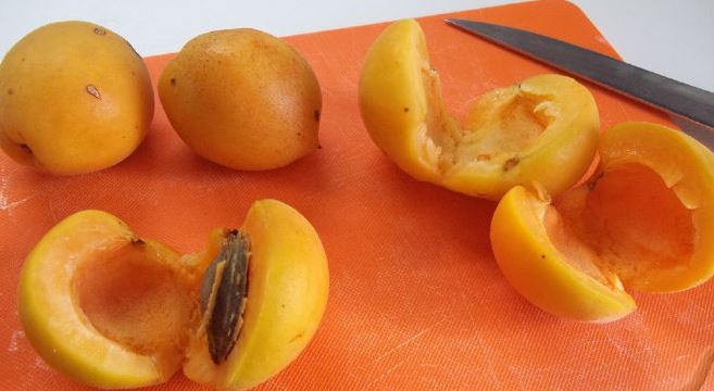 Kefir Cocktail step 1